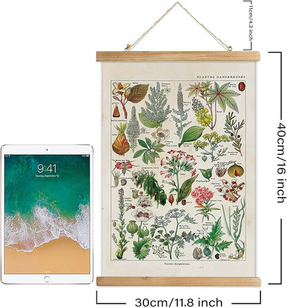 XIAOAIKA Vintage Botany Poster with Wooden Frame, Antique Poisonous Plants Chart - Botanical Educational Art with Dangerous Species - Retro-Style Wall Hanging for Home Classroom Decor 12 x 16 Inches