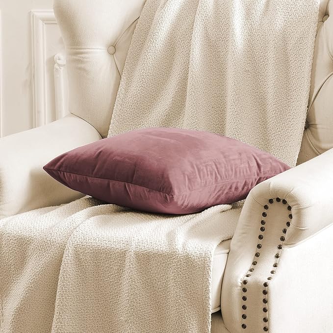FY FIBER HOUSE Pack of 2 Velvet Throw Pillow Covers Decorative Pillowcase Soft Solid Cushion Cover, 16 x 16 Inch, Canyon Rose