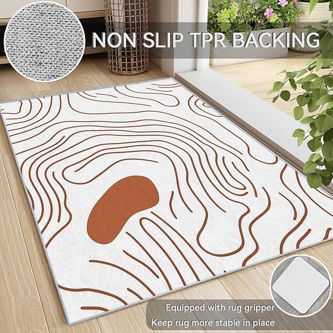 Abstract Rugs for Living Room - Abstract Swirl Area Rug, 3x5 Rug, Minimalist Boho Rug & Home Decor, Line Art Carpet & Room Decor, Washable Non Slip Anti Skid Rugs