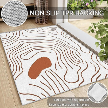 Abstract Rugs for Living Room - Abstract Swirl Area Rug, 3x5 Rug, Minimalist Boho Rug & Home Decor, Line Art Carpet & Room Decor, Washable Non Slip Anti Skid Rugs
