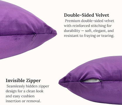 RELY+ Pack of 2 Throw Pillow Covers 16x16 Inch Velvet Soft Cozy Solid Decoration Gifts Pillow Covers Luxury Cushion Case for Sofa Couch Bedroom Living Room (Purple, 20 x 20)