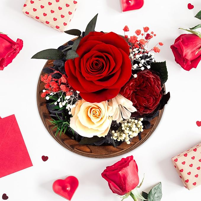 Birthday Gifts for Women Preserved Red Real Rose Flowers in Glass Dome, Forever Rose Valentines Day Gift for Her Mom on Christmas Birthday Flowers for Delivery Prime
