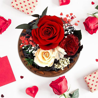 Birthday Gifts for Women Preserved Red Real Rose Flowers in Glass Dome, Forever Rose Valentines Day Gift for Her Mom on Christmas Birthday Flowers for Delivery Prime