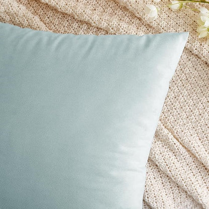 EMEMA Pack of 2 Velvet Pillow Covers Decorative Square Pillowcase Soft Solid Cushion Case for Sofa Bedroom Car 20x20 Inch Baby Blue