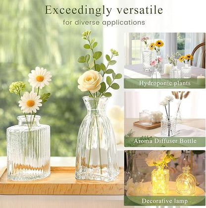 DomeStar 16PCS Glass Bud Vases Set, Small Clear Cylinder Vases for Plant Propagation Station Plant Terrarium, Vintage Clear Bud Vase in Bulk for Rustic Wedding Centerpieces Home Table Flower Decor