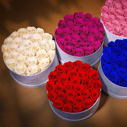 27 Flowers in a Luxury Suede Box, Birthday Gifts for Women, Preserved Flowers, Mothers Day Roses Gift for Mom, Champagne