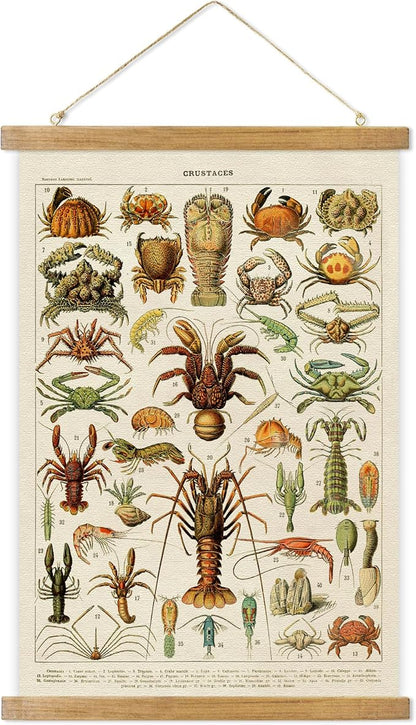 ABoby Vintage Hanging Posters, Decorative Crustaces Wall Art Prints, Printed on Linen with Wood Frames, Ready to Hang