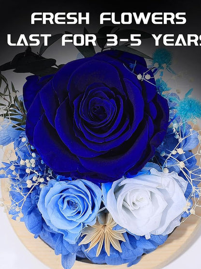 FIACO Preserved Rose Birthday Gift for Women Forever Fresh Flowers for Prime Delivery Gift for Mom Grandma Wife Valentines Mothers Day Christmas Anniversary Eternal Roses in Glass Dome
