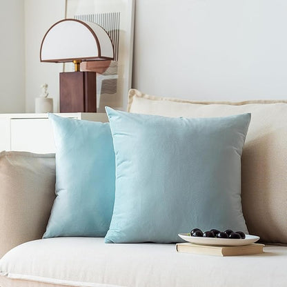 NiNi ALL Decorative Throw Pillow Covers Pack of 2, Velvet Throw Pillow Cases for Couch Pillows Cover Bedroom Living Room Outdoor Pillow Covers 22x22 Inch Baby Blue
