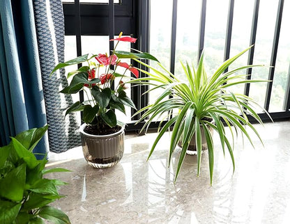 Meicynhoger 2-Pack Vintage Plastic Self-Watering Hanging Planters for Spider Plant,Ivy,Monstera,African Violets - 6.5" Clear Flower Pot with Hooks for Indoor Outdoor,Table, Balcony, Wall,Garden Gray