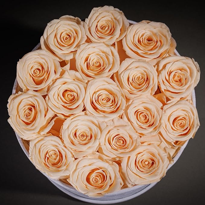 17 Flowers in a Luxury Suede Box, Birthday Gifts for Women, Preserved Flowers, Mothers Day Roses Gift for Mom, Champagne