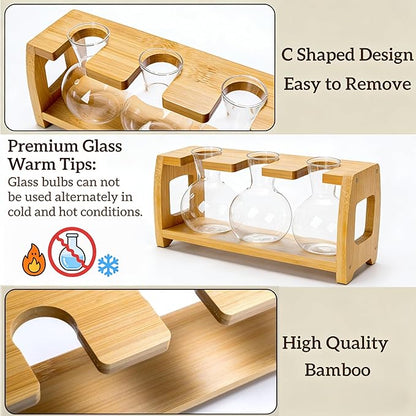 2 Pack Propagation Stations with Bamboo Stand, 8 Bulbs Desktop Water Plant Terrarium Vase, Retro Plant Propagation Jars for Indoor Plants, Glass Planter Gifts for Home Office Table Decor