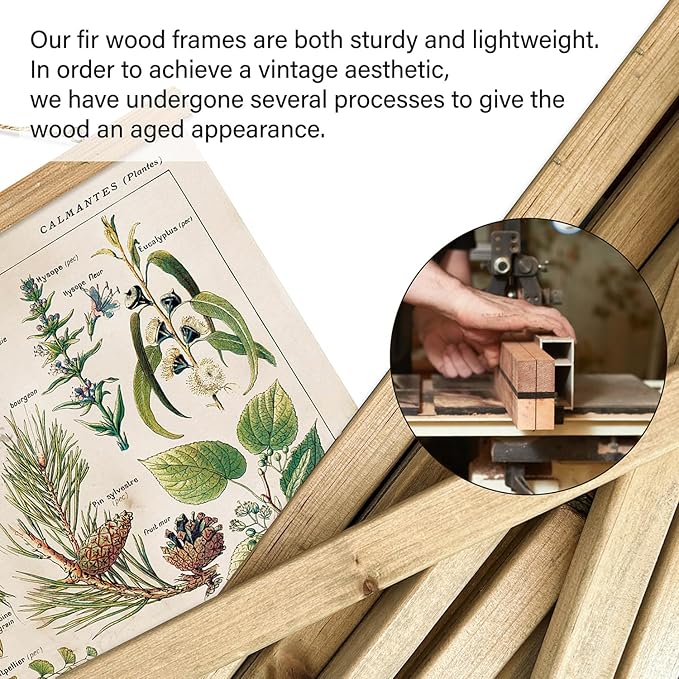 XIAOAIKA 2 Pack Vintage Plants Poster Hanger Frame, Retro Style Wall Decor Art Painting, Patterns are Printed on Linen Without Fading, Scrolls Made of Fir are Durable (16 x 23 inch)