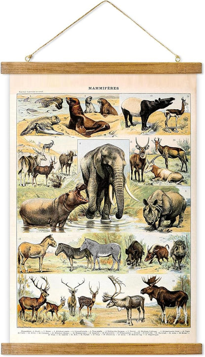 ABoby Vintage Illustrated Wildlife Chart Posters - Educational Animal Wall Art for Schools Homes - Retro Style Painting with Wood Frames