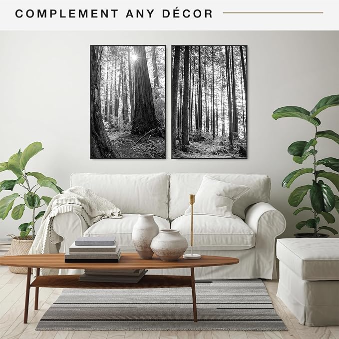 MCS Original Poster Frame 24x36 Black Lightweight Vertical & Horizontal Wall Hanging Large Picture Frame for Posters, Art Prints & Gallery Wall (2-Pack)