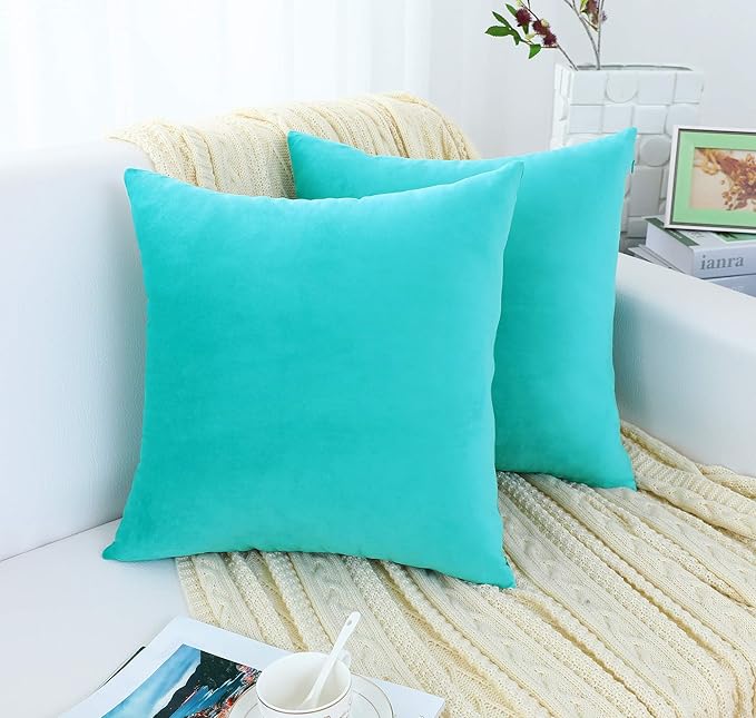 Jeneoo Comfy Soft Thick Velvet Throw Pillow Covers Decorative Solid Square Couch Cushion Cases for Home Bedroom Car Decor (Turquoise, 18 x 18 Inches, 2 Pieces)