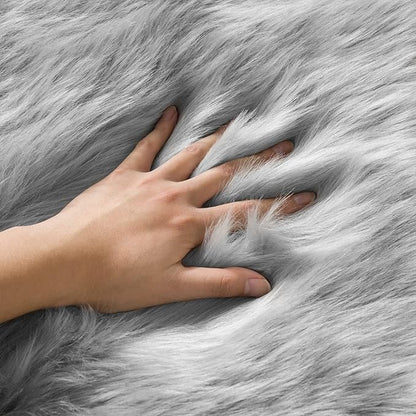 Ciicool Fluffy Area Rug, Grey Faux Fur Rug for Bedroom Living Room, Thick Fuzzy Shag Rug Furry Nursery Rug Plush Indoor Floor Carpets for Kids Girls Boys Teen Dorm, 4x6 ft