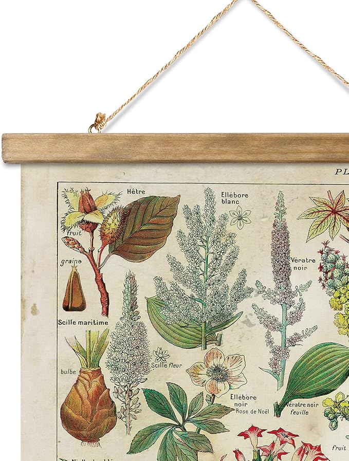 XIAOAIKA 2 Pack Vintage Plants Poster Hanger Frame, Retro Style Wall Decor Art Painting, Patterns are Printed on Linen Without Fading, Scrolls Made of Fir are Durable (16 x 23 inch)