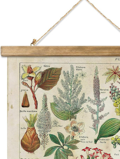 XIAOAIKA 2 Pack Vintage Plants Poster Hanger Frame, Retro Style Wall Decor Art Painting, Patterns are Printed on Linen Without Fading, Scrolls Made of Fir are Durable (16 x 23 inch)