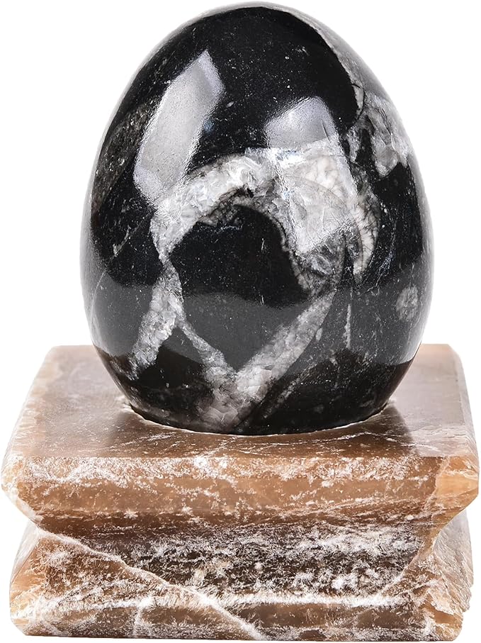 AMOYSTONE Single Healing Crystal Rock Egg Orthoceras Stone Large with Base, Home Decor Collect, Height 3.5-4"