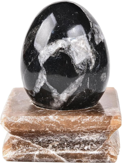 AMOYSTONE Single Healing Crystal Rock Egg Orthoceras Stone Large with Base, Home Decor Collect, Height 3.5-4"