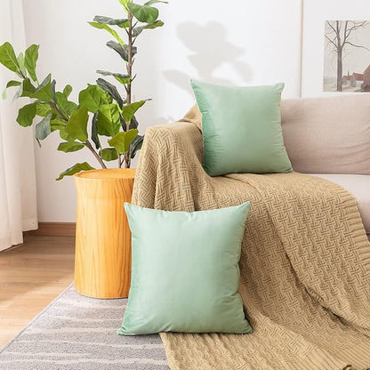 NiNi ALL Decorative Throw Pillow Covers Pack of 2, Velvet Cushion Case for Couch Bedroom Living Room Outdoor, Pillow Covers 16x16 Inch（40 x 40 cm） Sage Green