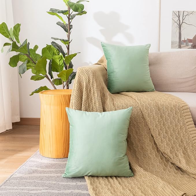 NiNi ALL Decorative Sage Green Throw Pillow Covers Pack of 2 Velvet 14x14 Inch Throw Pillow Cases for Couch Pillows Cover Bedroom Living Room Outdoor Pillows Cover