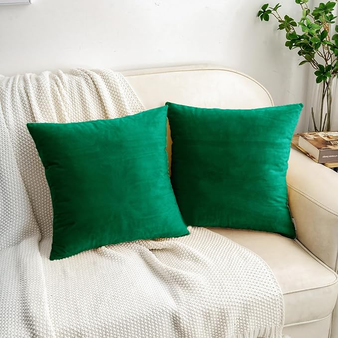HWY 50 Dark Green Velvet Throw Pillow Covers 20x20 Inch, Pack of 2 Soft Cozy Solid Decorative Luxury Cushion Cases for Couch Sofa Bed Living Room Bedroom