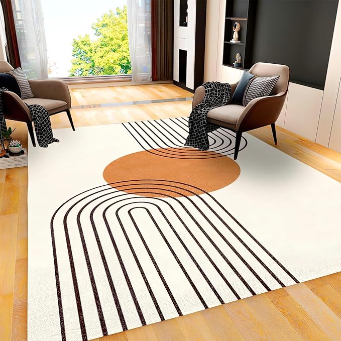 Mid Century Modern Abstract Art Area Rug, Boho Minimalist Line Non Slip Stain Resistant Print Rugs, Soft Machine Washable Carpet for Indoor Bedroom Living Room Office Decor Rug - 3 ft x 5 ft