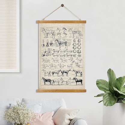 ABoby Vintage Equine Anatomy Chart Posters - Horse Wall Art for Homes and Offices - Retro Style Painting with Wood Frames - Ready to Hang