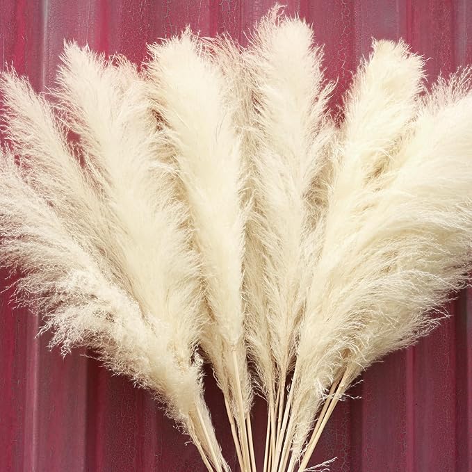 10pcs 40'' White Pampas Grass Tall Decor - Pompas Floral, Tall Pampas Grass for Floor Vases, Living Room Floor, Floor Plants, Plumas para, and Grass Wall Decor