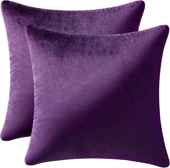 MIULEE Velvet Throw Pillow Covers 16x16 Inch, Pack of 2 - Eggplant Purple, Super Soft Decorative Square Cushion Cases Modern Luxury Home Decor for Sofa,Couch,Bed,Chair