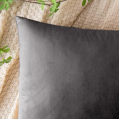 EMEMA Pack of 2 Velvet Throw Pillow Covers Decorative Rectangle Pillowcase Soft Solid Cushion Case for Sofa Bedroom Chair Car 12x20 Inch Grey