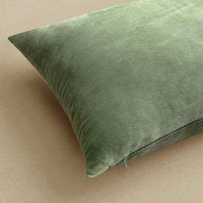 MIULEE Velvet Throw Pillow Covers 20x20 Inch, Pack of 2 - Sage Green, Soft Solid Decorative Pillow Covers Square Cushion Cases Farmhouse Modern Home Decor for Spring Couch Sofa Bedroom Living Room