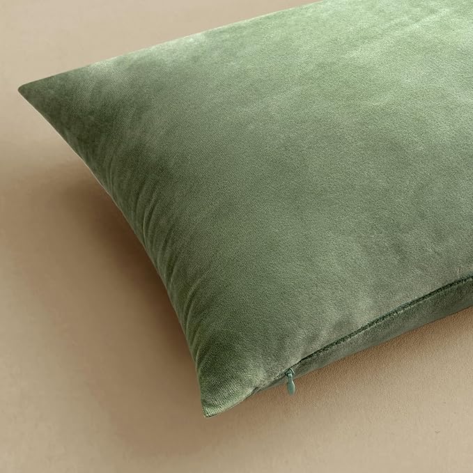 MIULEE 24x24 Inch Euro Sham Velvet Pillow Covers, Set of 2 Large Square Decorative Spring Pillows -Sage Green Super Soft for King Bed, Sofa, Couch, Accent Chairs