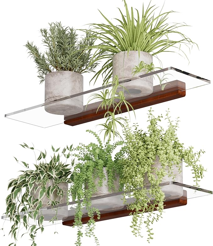 QsQueen Acrylic Floating Shelves with Solid Wood Base, Wall Mounted Shelf for Plants, Perfume, Nail Polish, Bathroom, Bedroom & Living Room Décor