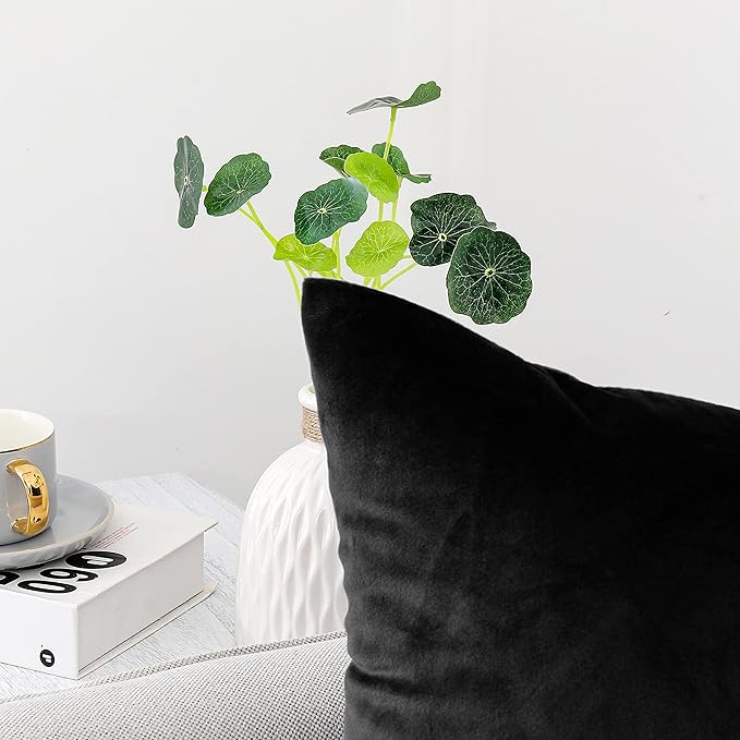 NiNi ALL Decorative Throw Pillow Covers Pack of 2, Velvet Throw Pillow Cases for Couch Pillows Cover Bedroom Living Room Outdoor, Pillow Covers 18x18 Inch Black