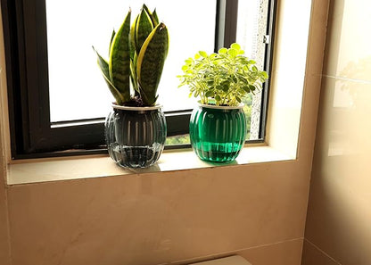 Meicynhoger 4-Pack Plastic Self-Watering Hanging Planter for Snake Plant,Succulents,African Violets - 4.3" Clear Flower/Plant Pot with Hooks for Indoor Outdoor,Table, Balcony, Wall,Garden Green