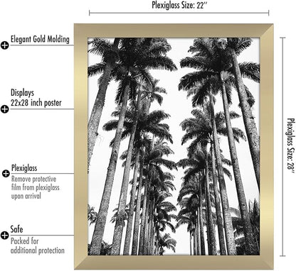 Americanflat 22x28 Poster Frame with Polished Plexiglass - Gold Picture Frame - Wide Photo Frames Made of Engineered Wood for Vertical or Horizontal Wall Display - Epic Collection - Gold