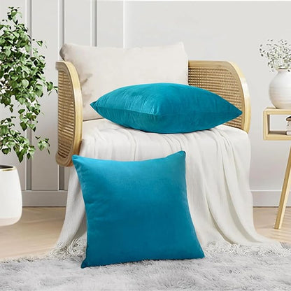 RELY+ Pack of 2 Throw Pillow Covers 16x16 Inch Velvet Soft Cozy Solid Decoration Gifts Pillow Covers Luxury Cushion Case for Sofa Couch Bedroom Living Room (Turquise, 20 x 20)