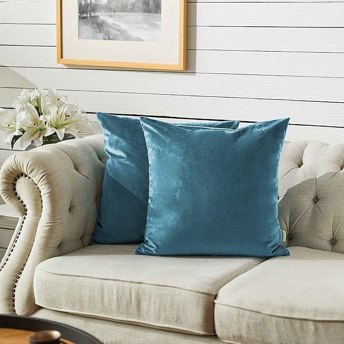 FY FIBER HOUSE Pack of 2 Velvet Throw Pillow Covers Decorative Square Pillowcase Soft Solid Cushion Case for Sofa/Couch Use, 16 x 16 Inch, Light Blue