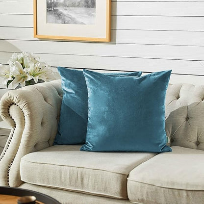 FY FIBER HOUSE Pack of 2 Velvet Throw Pillow Covers Decorative Square Pillowcase Soft Solid Cushion Case for Sofa/Couch Use, 16 x 16 Inch, Light Blue