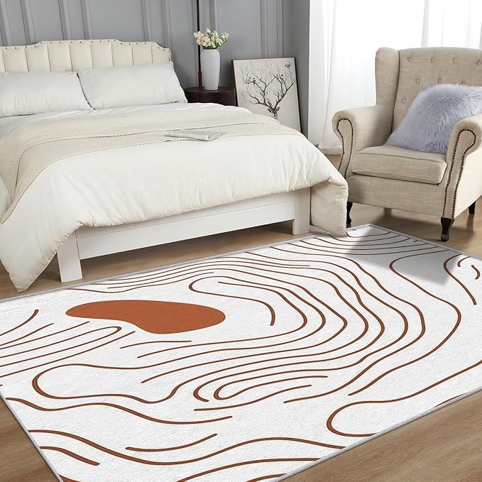Abstract Rugs for Living Room - Abstract Swirl Area Rug, 3x5 Rug, Minimalist Boho Rug & Home Decor, Line Art Carpet & Room Decor, Washable Non Slip Anti Skid Rugs