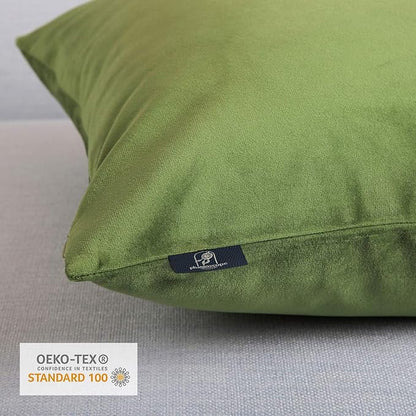 Phantoscope Pack of 2 Velvet Decorative Throw Decorative Pillow Cover Soft Solid Square Cushion Case for Couch Green 22 x 22 inches 55 x 55 cm