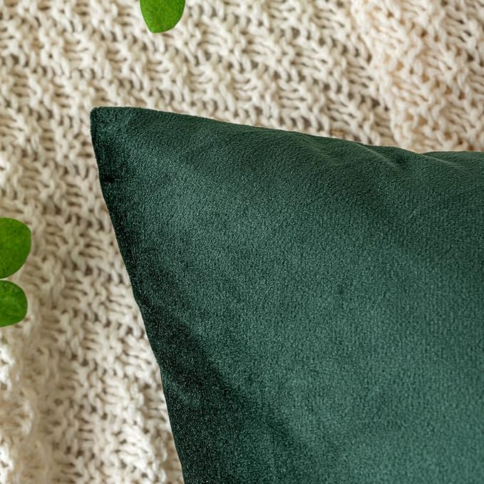 EMEMA Pack of 2 Velvet Christmas Throw Pillow Covers Decorative Square Pillowcase Soft Solid Cushion Case for Sofa Bedroom Car 16x16 Inch Dark Green