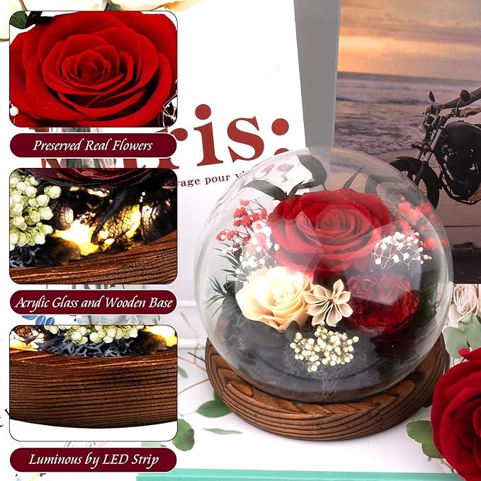 Birthday Gifts for Women Preserved Red Real Rose Flowers in Glass Dome, Forever Rose Valentines Day Gift for Her Mom on Christmas Birthday Flowers for Delivery Prime