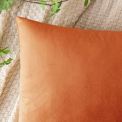 EMEMA Fall Orange Velvet Throw Pillow Covers 16x16 Inch Set of 2 Decorative Square Pillowcase Soft Solid Cushion Case for Couch Sofa Bedroom Livingroom