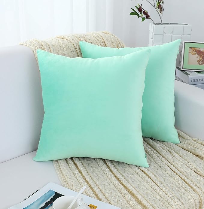 Jeneoo Comfy Soft Thick Velvet Throw Pillow Covers Decorative Solid Square Couch Cushion Cases for Bedroom Sofa Car Decor (Mint Green, 20 x 20 Inches, 2 Pieces)