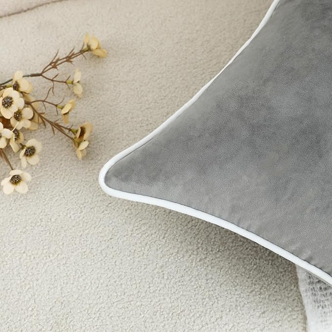 LIGICKY Set of 2 Grey Velvet Throw Pillow Covers Modern Minimalist Style Solid Decorative White Rope Edging Soft Square Cushion Cases for Sofa Bedroom Party Décor, 24 x 24 inch
