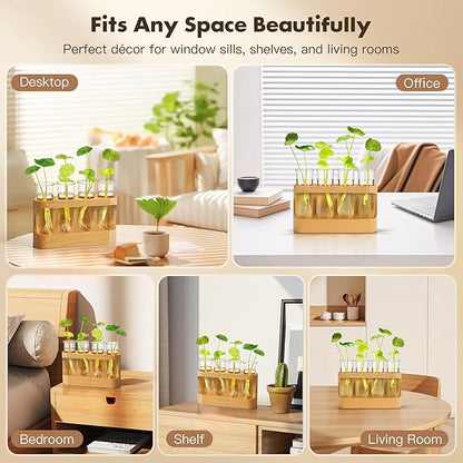 Plant Propagation Station with LED Light – Glass Test Tube Vases & Beech Wood Desk Decor, Wooden Stand Terrarium for Indoor Home Office, Plant Gifts for Women Plant Lovers